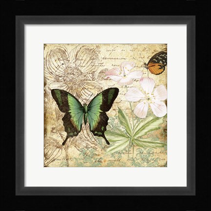 Framed Inspirational Butterflies - C Print
