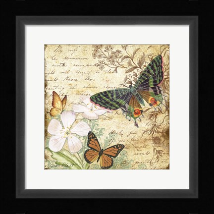 Framed Inspirational Butterflies - D Print