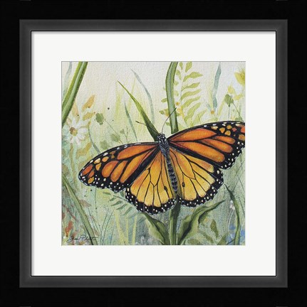 Framed Botanical Beauties A Print