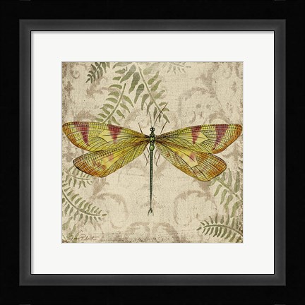 Framed Dragonfly Daydreams - A Print