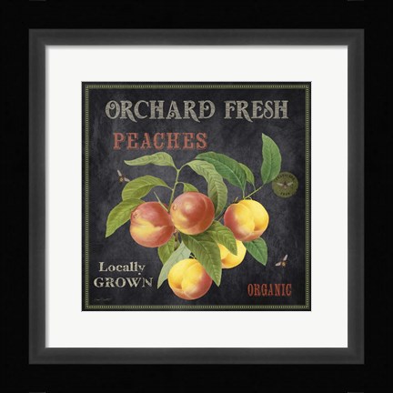Framed Orchard Fresh Peaches Print