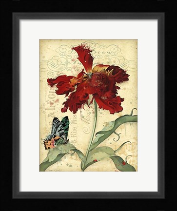 Framed French Florals 1 Print