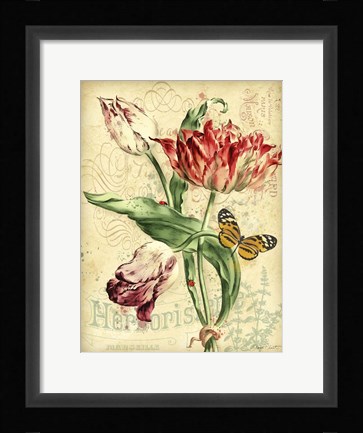 Framed French Florals 2 Print
