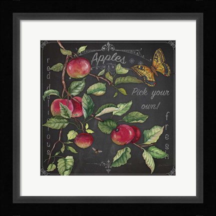 Framed Apples Print