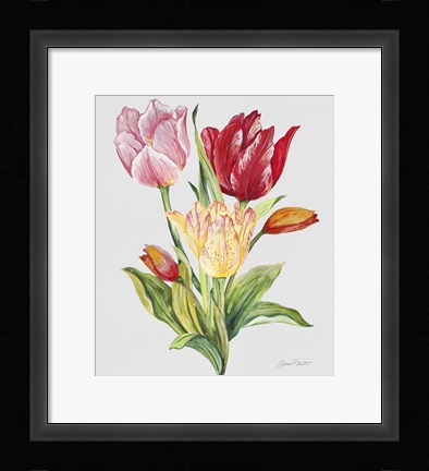 Framed Botanicals 9 Print