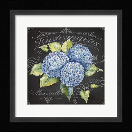 Framed Hydrangeas 1 Print