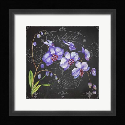 Framed Orchids 1 Print