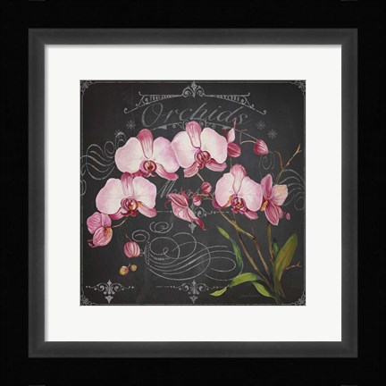 Framed Orchids 2 Print