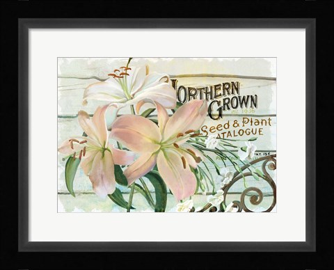 Framed Farm Seed Lilies Print