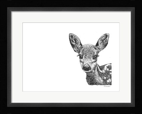 Framed Deer Print
