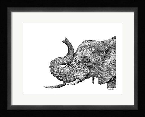 Framed Elephant Print