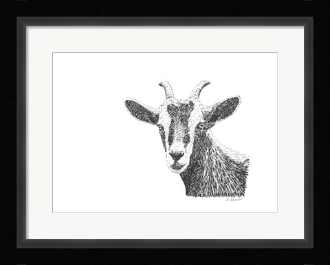 Framed Goat Print