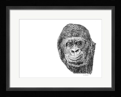 Framed Gorilla Print