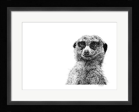 Framed Meerkat Print