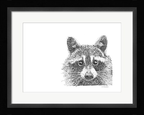 Framed Raccoon Print
