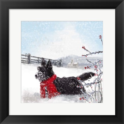 Framed Black Scottie Dog Print