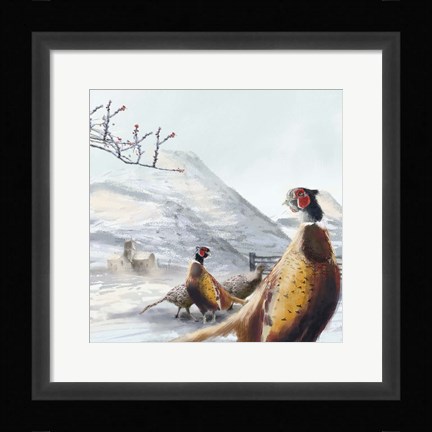 Framed Ring Necked Pheasant Print