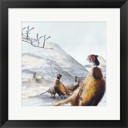 Framed Ring Necked Pheasant Print