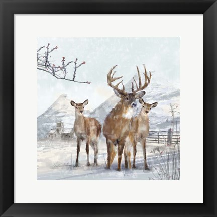 Framed Stag And Females Print