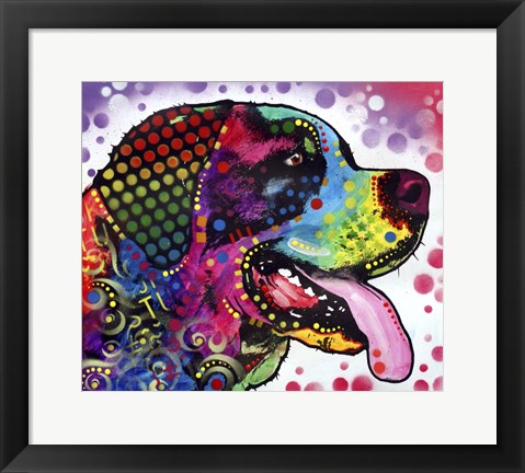 Framed St Bernard Profile Print
