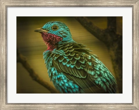Framed Colorfull Bird V Print