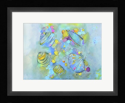 Framed Malacology Mixed Media Print