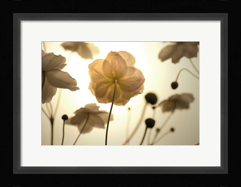 Framed Silhouette in Field Print