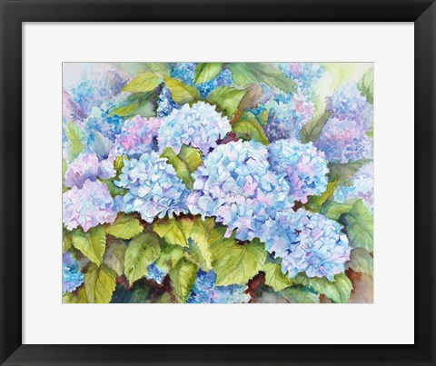 Framed Cluster of Hydrangeas Print