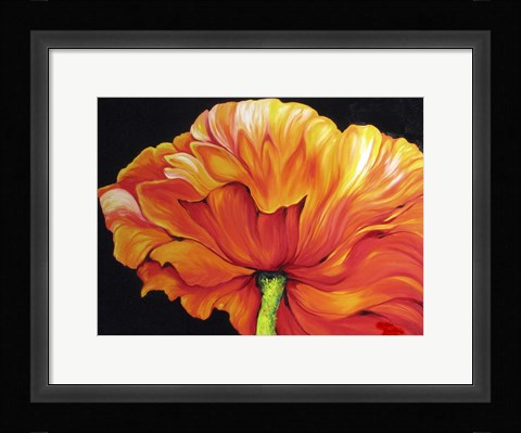 Framed Single Poppy Print
