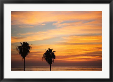 Framed Sunset Palms III Print