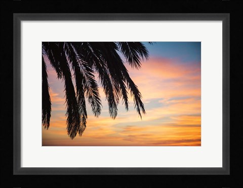 Framed Sunset Palms I Print