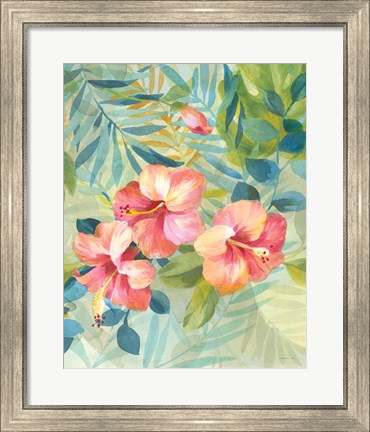 Framed Hibiscus Garden III Print
