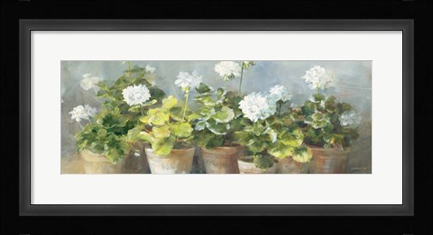 Framed White Geraniums v2 Print