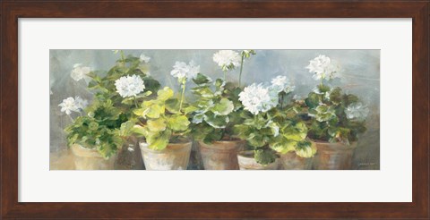 Framed White Geraniums v2 Print