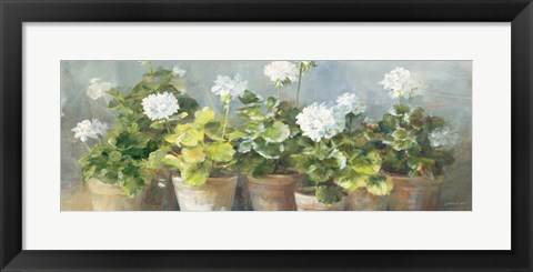 Framed White Geraniums v2 Print