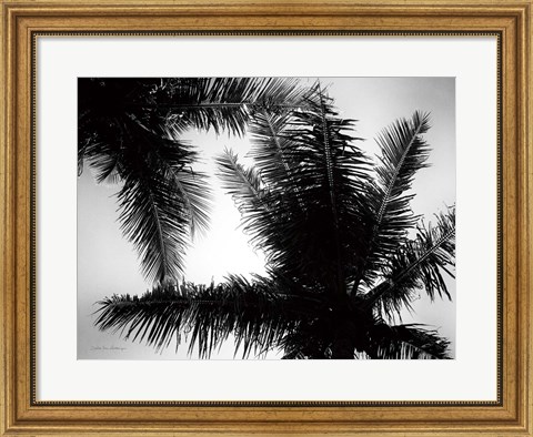 Framed Palm Tree Looking Up I Print