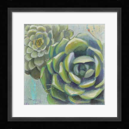 Framed Succulents II Crop Print