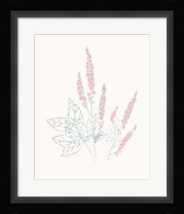 Framed Flowers on White VII Contemporary Print