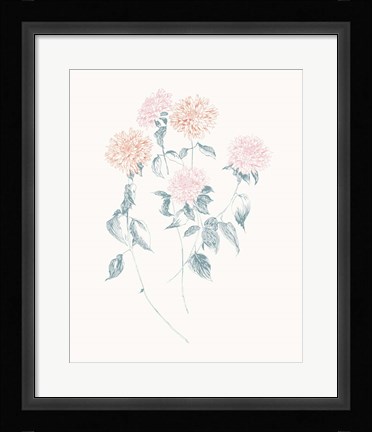 Framed Flowers on White VI Contemporary Print