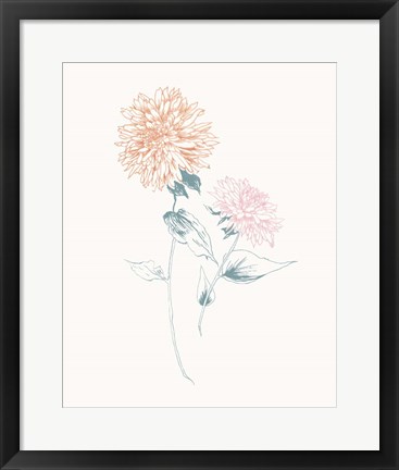 Framed Flowers on White IV Contemporary Print