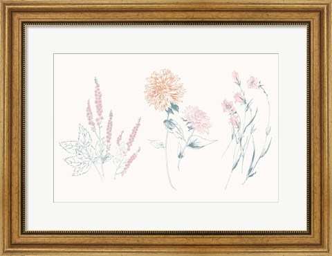 Framed Flowers on White VIII Contemporary Print