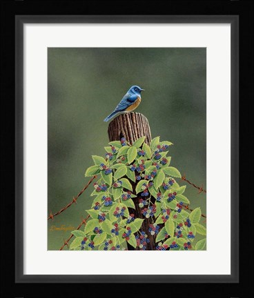 Framed Keeping Watch Print