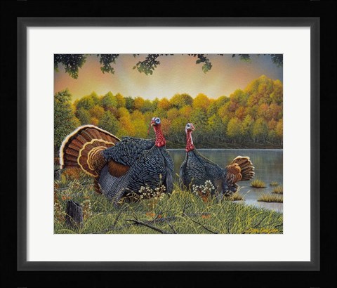 Framed Turkey Season Print