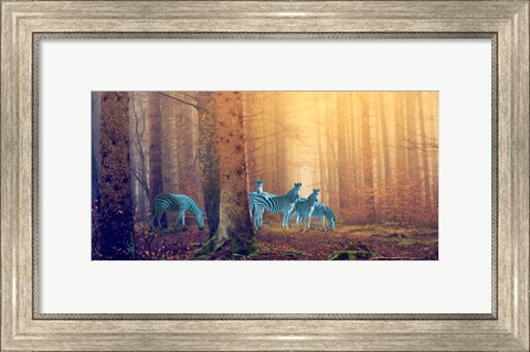Framed In the Woods Print