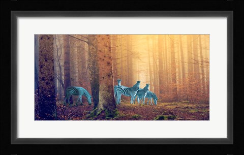 Framed In the Woods Print