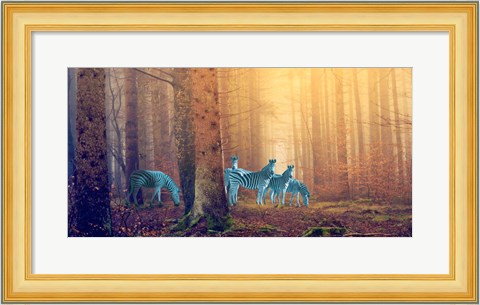 Framed In the Woods Print