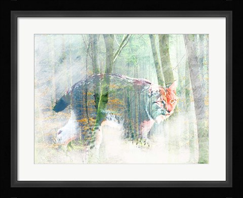 Framed Silent Hunter Print