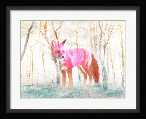 Framed Wilderness Print