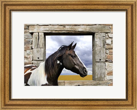 Framed Painted Horse Print