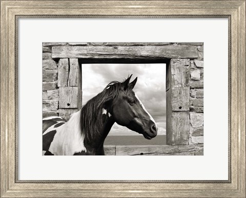 Framed Painted Horse (BW) Print
